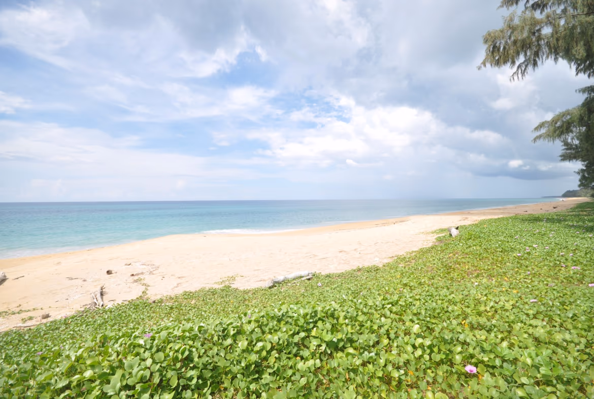 The private pool is surrounded by lush tropical vegetation with direct access to the villa.