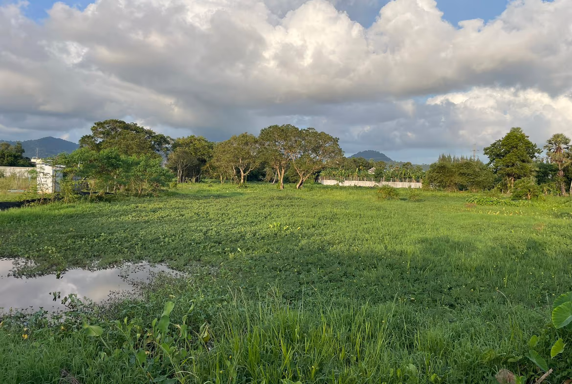 A panoramic view of a large, undeveloped plot of land, possibly with some distant hills or trees.