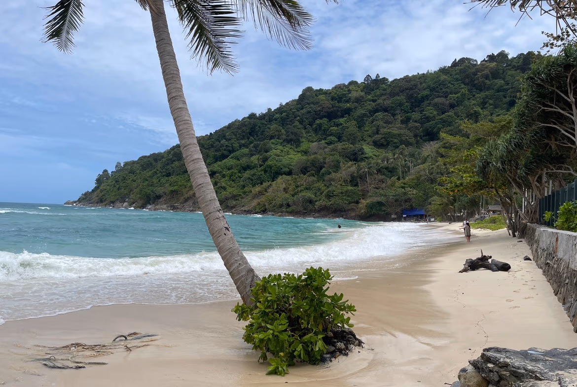 Investor Opportunity: 4 Seaview Studios in Patong (RPT24) — photo 15